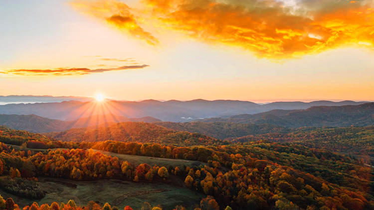 noble-foods-case-studies-rebrand-2021-zc03 Noble foods - sunset over farm land